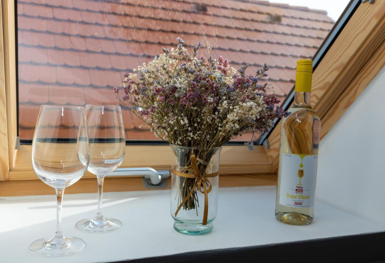 Takács Pince apartman Hajos Exteriér fotografie